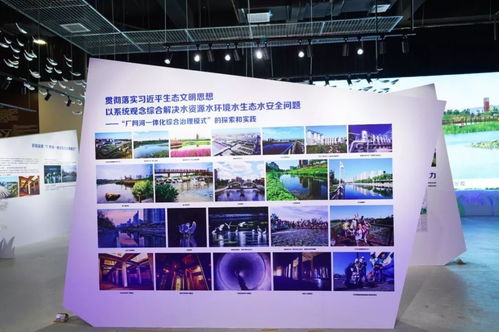 清水綠岸，魚翔淺底 北排尚水文化公司以藝術創意展臺亮相南寧園博園，擘畫城市發展新圖景