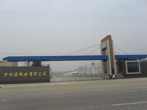 貴州萬利源計算機系統(tǒng)集成 驅(qū)動數(shù)字化轉(zhuǎn)型的專業(yè)力量